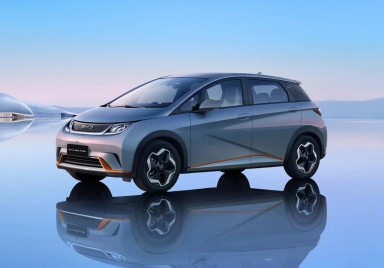 2024 BYD Dolphin
