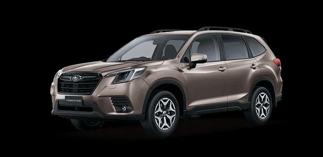 Brilliant Bronze Metallic