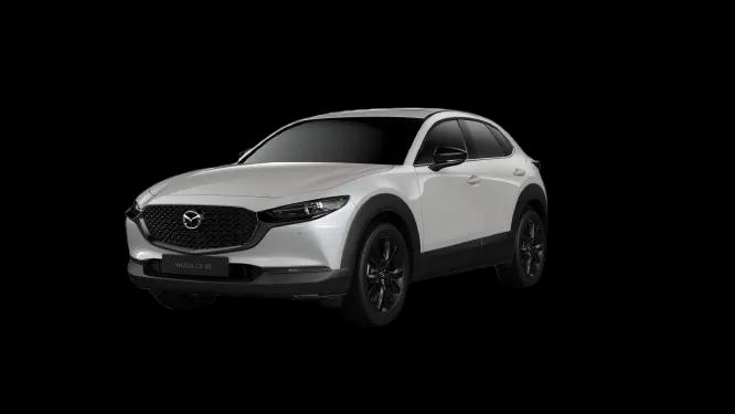 Snowflake White Pearl Mica 