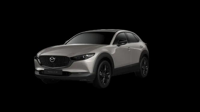 Platinum Quartz Metallic 