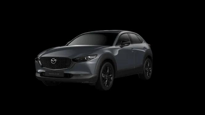 Polymetal Grey Metallic 