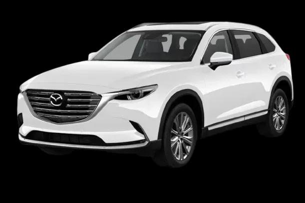 Snowflake White Pearl Mica 